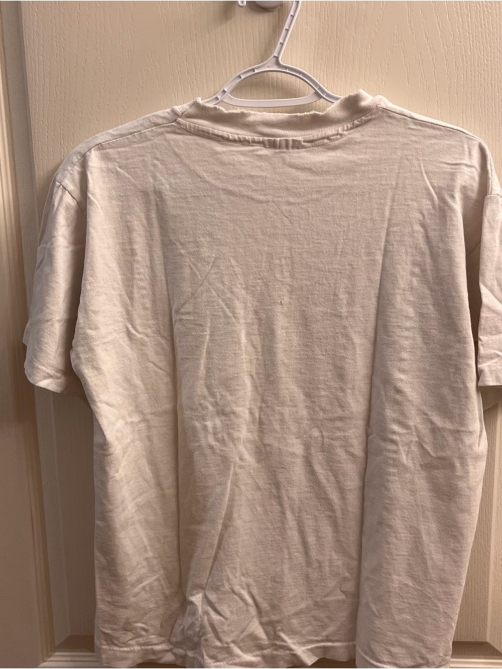 Nature's Pride 1995 Vintage Lion Graphic Tee Distressed - Picture 5 of 5